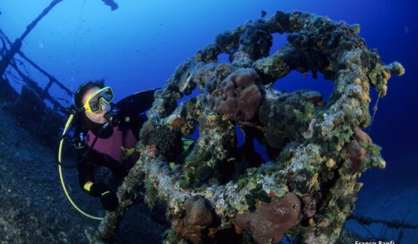 scuba diver looking the rudder of Teti wreck, Vis island, Croatia, Adriatic Sea, Mediterranean