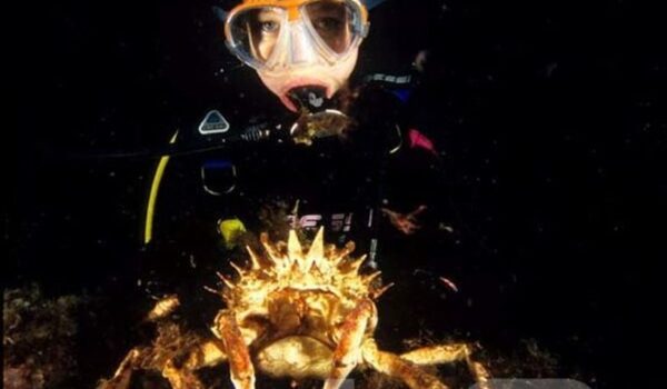 Croatia-Vis-island-giant-crab-diver-1-15-JPG-copia_result